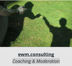ewm.consulting Coaching & Moderation